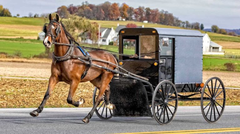 Amish Oil Change Meaning: From Humble Ritual to Modern Controversy