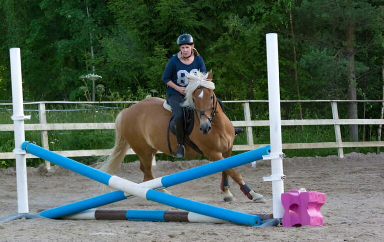 Safety First: Tips for Designing Kid-Friendly Horse Jumps
