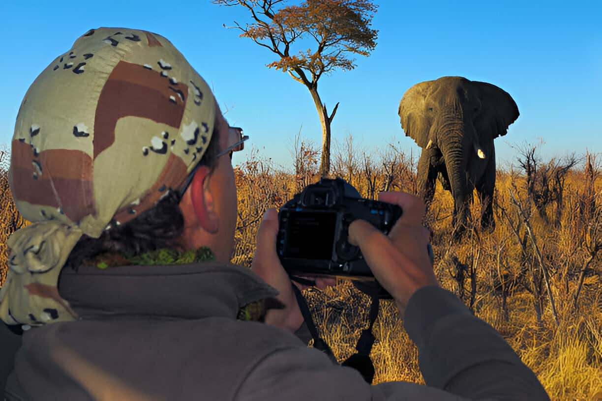 Mastering Composition: Techniques for Stunning Safari Wildlife Photos